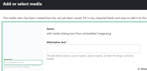 alternative text box when adding media